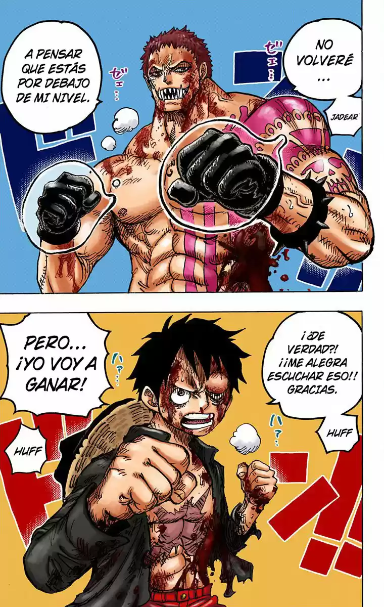 One Piece (full Color) - Capítulo 893 - Página 17 - LectorTMOo