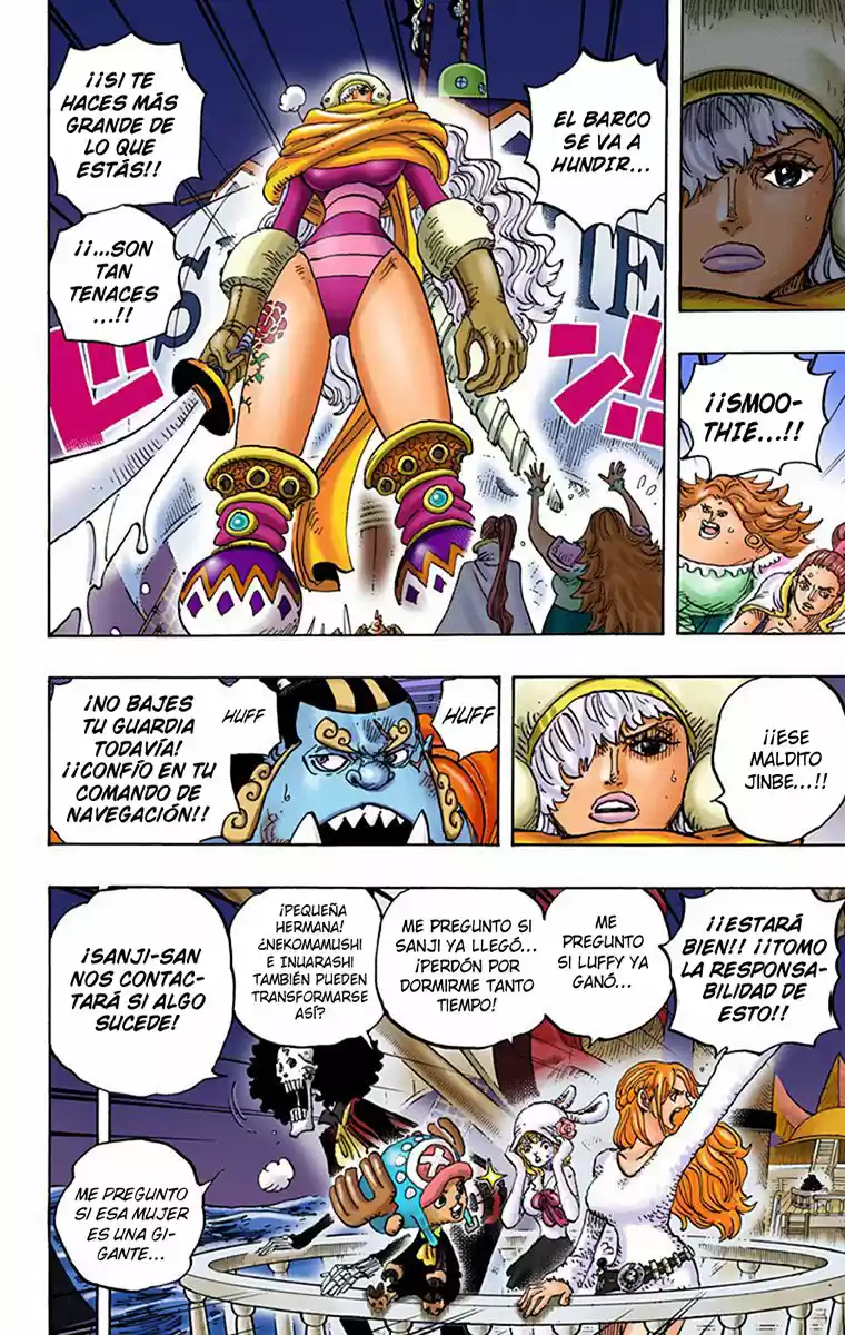 One Piece (full Color) - Capítulo 894 - Página 12 - LectorTMOo