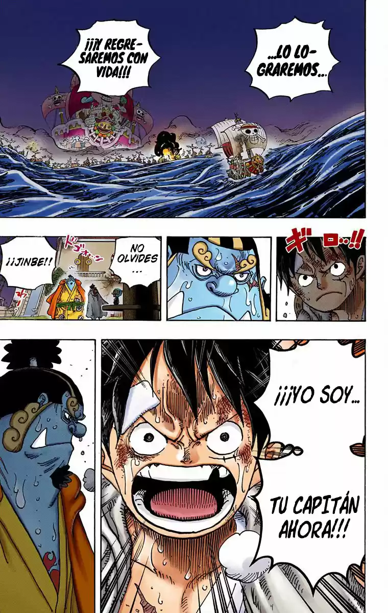 One Piece (full Color) - Capítulo 901 - Página 14 - LectorTMOo