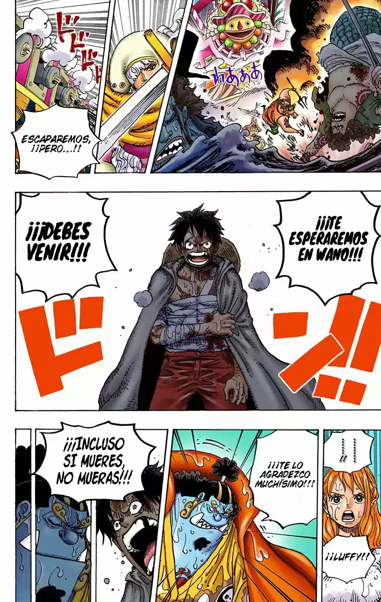 One Piece (full Color) - Capítulo 901 - Página 15 - LectorTMOo