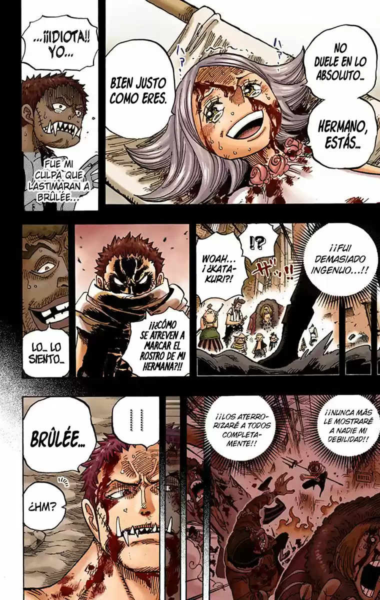 One Piece (full Color) - Capítulo 902 - Página 13 - LectorTMOo