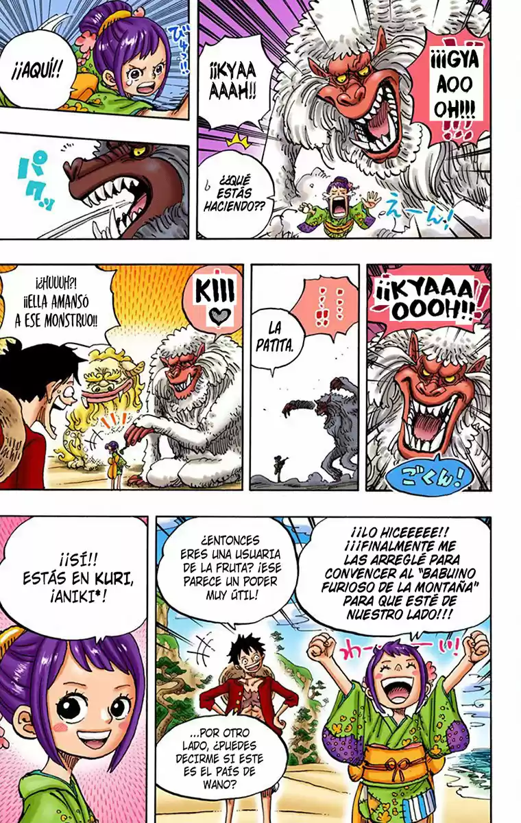 One Piece (full Color) - Capítulo 911 - Página 12 - LectorTMOo