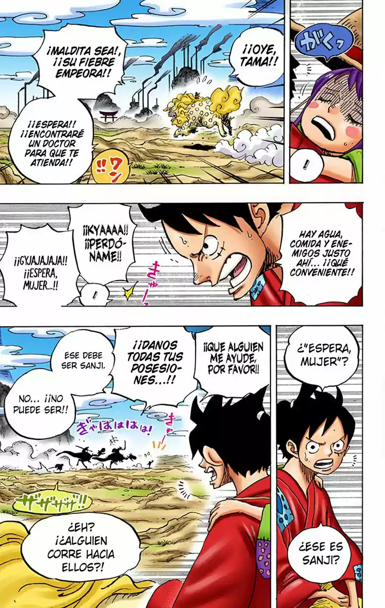 One Piece (full Color) - Capítulo 912 - Página 14 - LectorTMOo