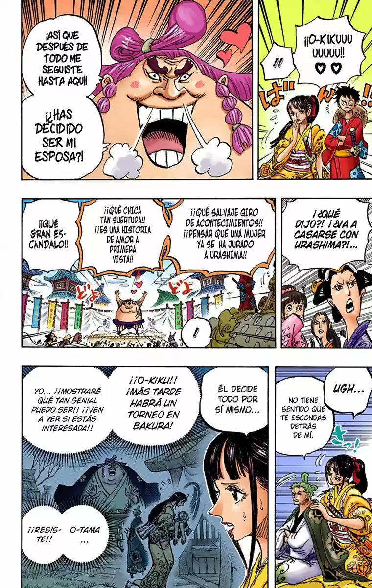 One Piece (full Color) - Capítulo 915 - Página 13 - LectorTMOo