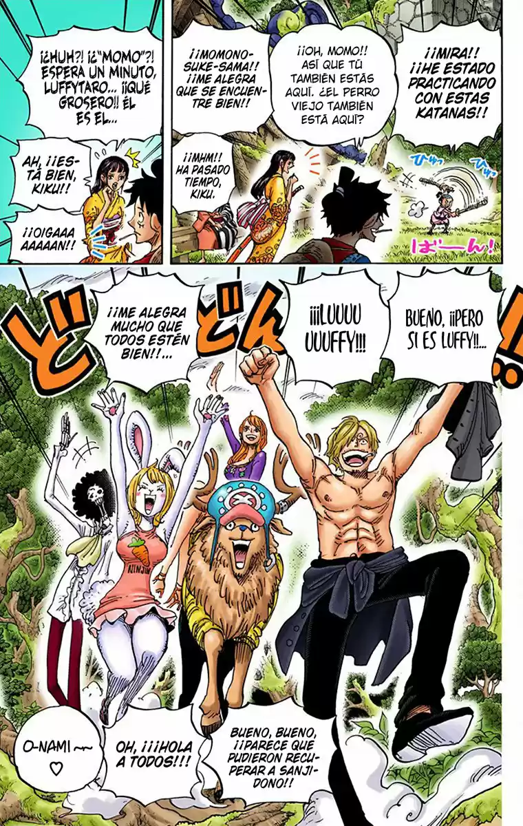 One Piece (full Color) - Capítulo 919 - Página 13 - LectorTMOo
