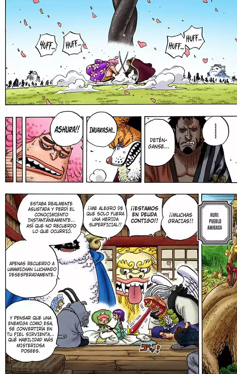 One Piece (full Color) - Capítulo 925 - Página 13 - LectorTMOo