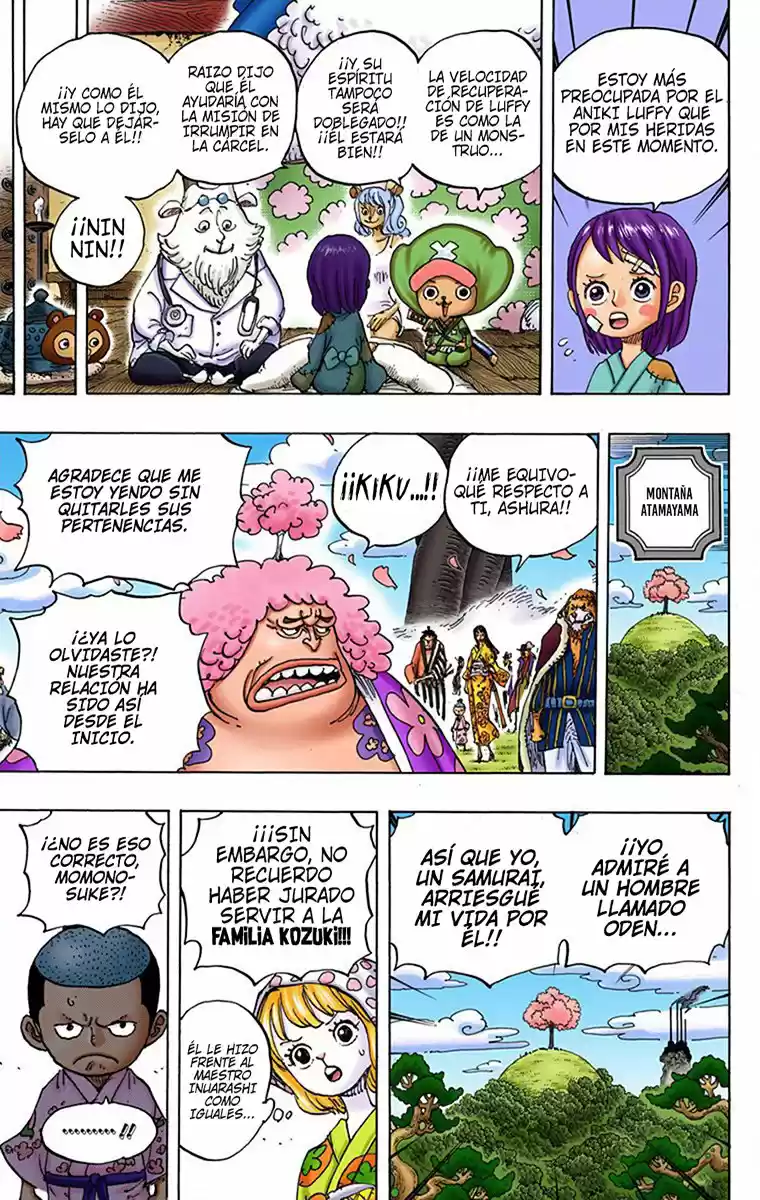 One Piece (full Color) - Capítulo 925 - Página 14 - LectorTMOo