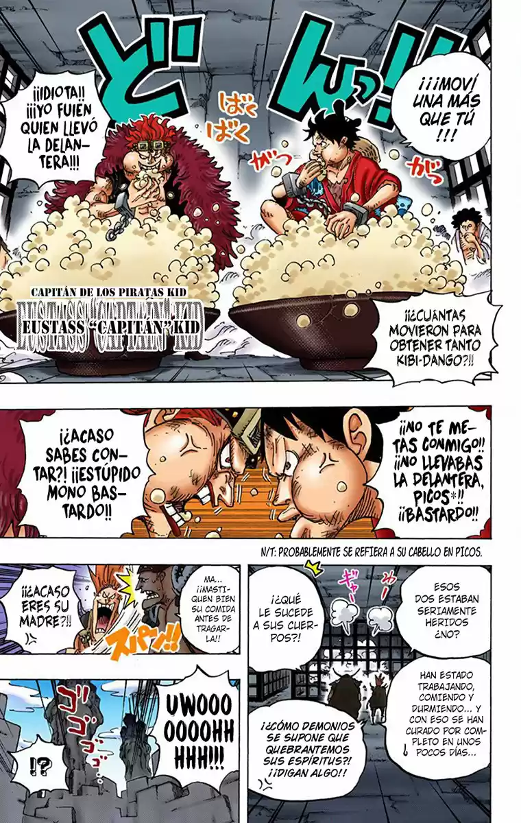 One Piece (full Color) - Capítulo 926 - Página 13 - LectorTMOo