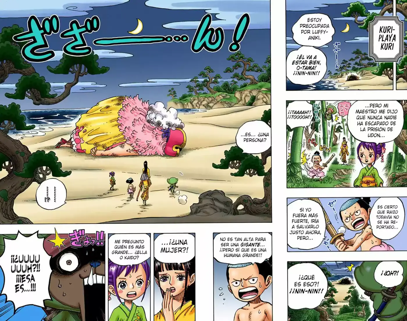 One Piece (full Color) - Capítulo 931 - Página 13 - LectorTMOo