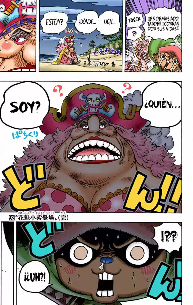 One Piece (full Color) - Capítulo 931 - Página 15 - LectorTMOo