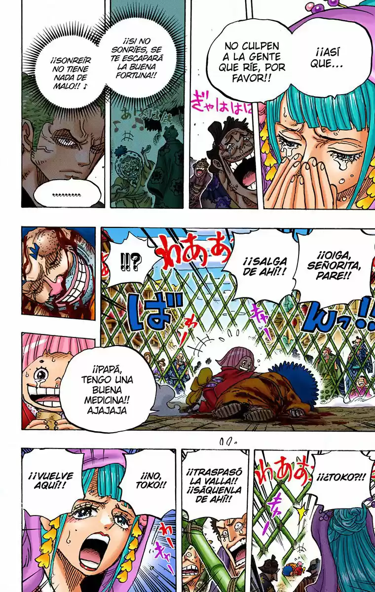 One Piece (full Color) - Capítulo 943 - Página 15 - LectorTMOo