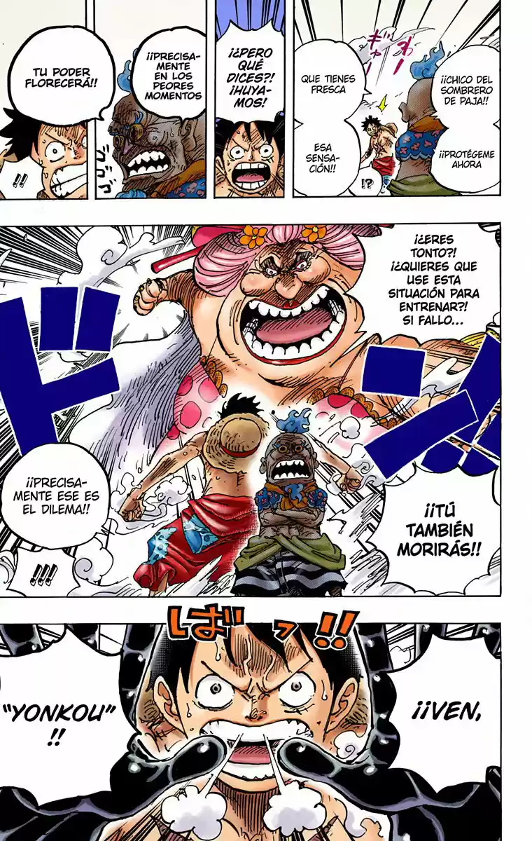 One Piece (full Color) - Capítulo 946 - Página 15 - LectorTMOo