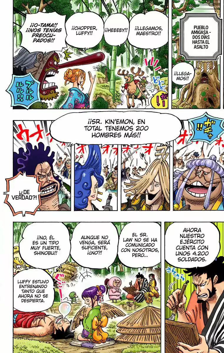 One Piece (full Color) - Capítulo 955 - Página 10 - LectorTMOo