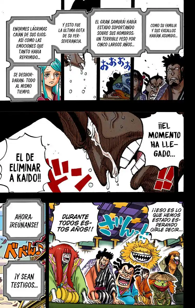One Piece (full Color) - Capítulo 969 - Página 14 - LectorTMOo