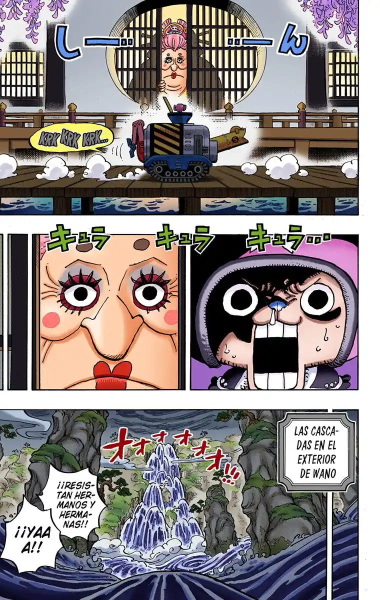One Piece (full Color) - Capítulo 981 - Página 14 - LectorTMOo