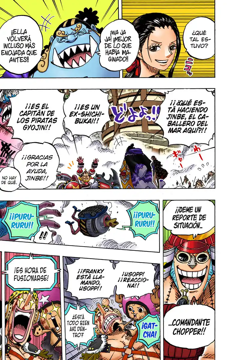 One Piece (full Color) - Capítulo 989 - Página 13 - LectorTMOo