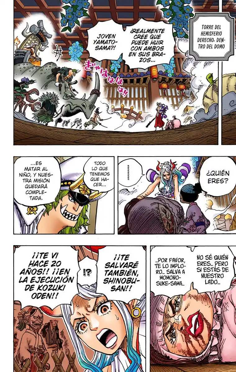One Piece (full Color) - Capítulo 994 - Página 13 - LectorTMOo