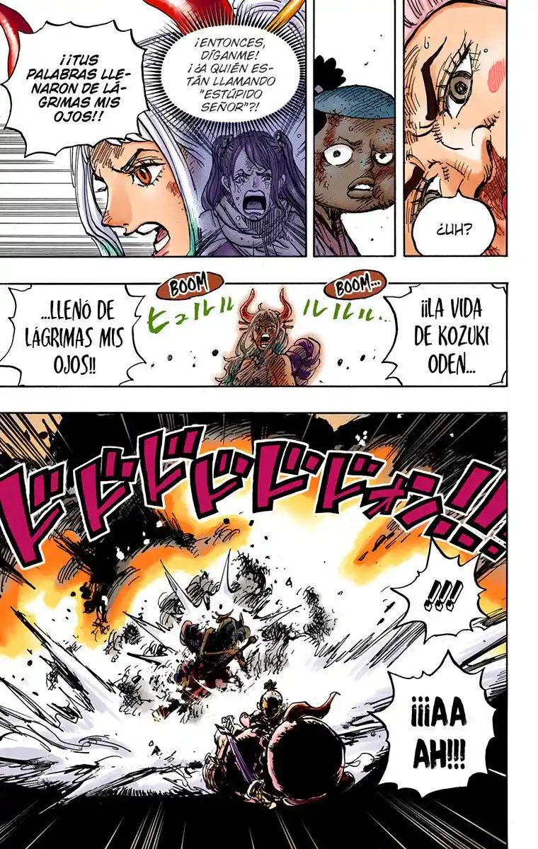 One Piece (full Color) - Capítulo 994 - Página 14 - LectorTMOo