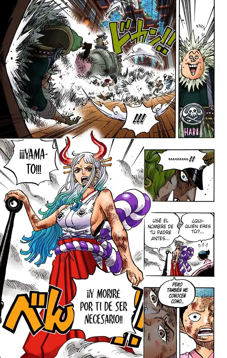 One Piece (full Color) - Capítulo 994 - Página 16 - LectorTMOo