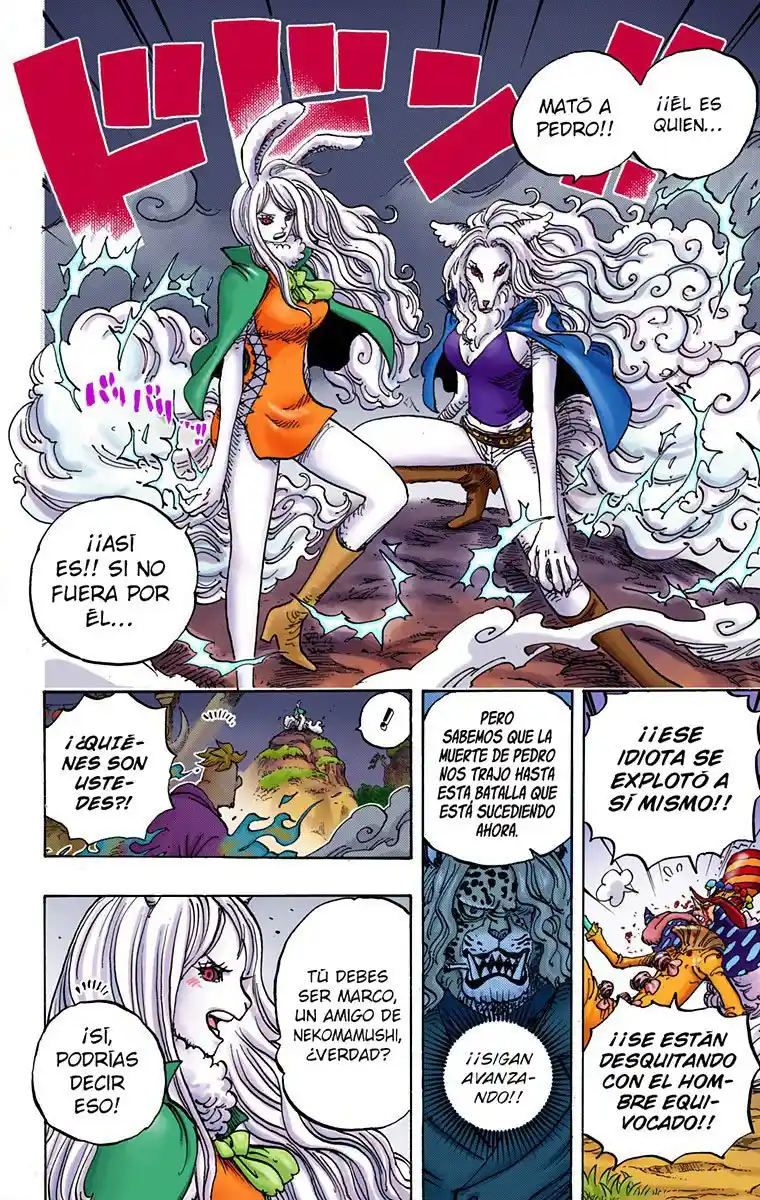 One Piece (full Color) - Capítulo 995 - Página 7 - LectorTMOo