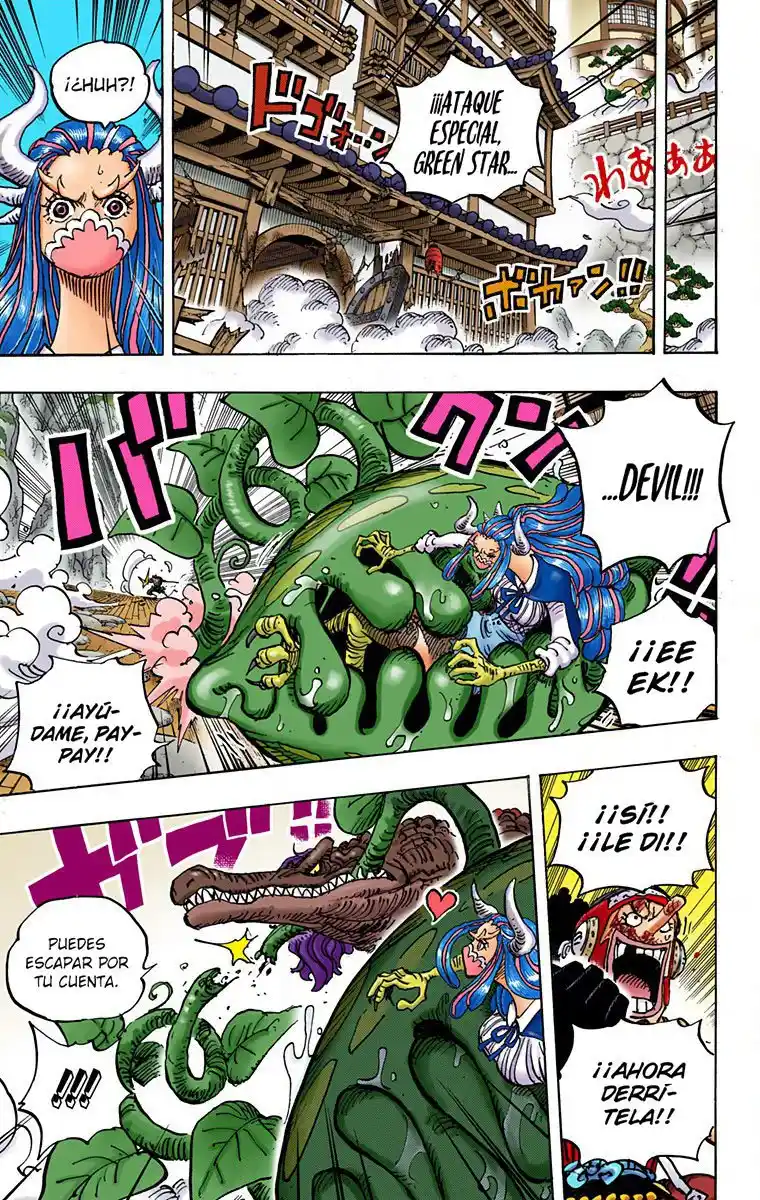 One Piece (full Color) - Capítulo 995 - Página 14 - LectorTMOo