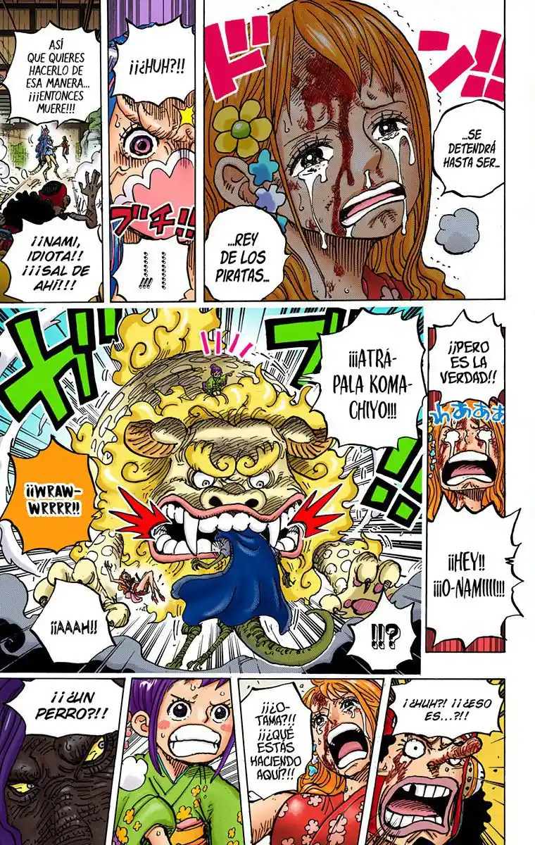 One Piece (full Color) - Capítulo 995 - Página 18 - LectorTMOo