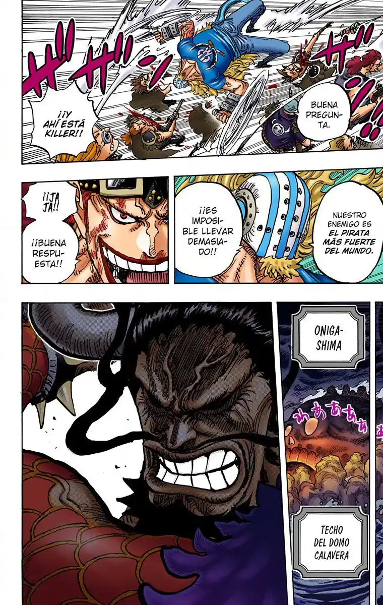 One Piece (full Color) - Capítulo 996 - Página 14 - LectorTMOo