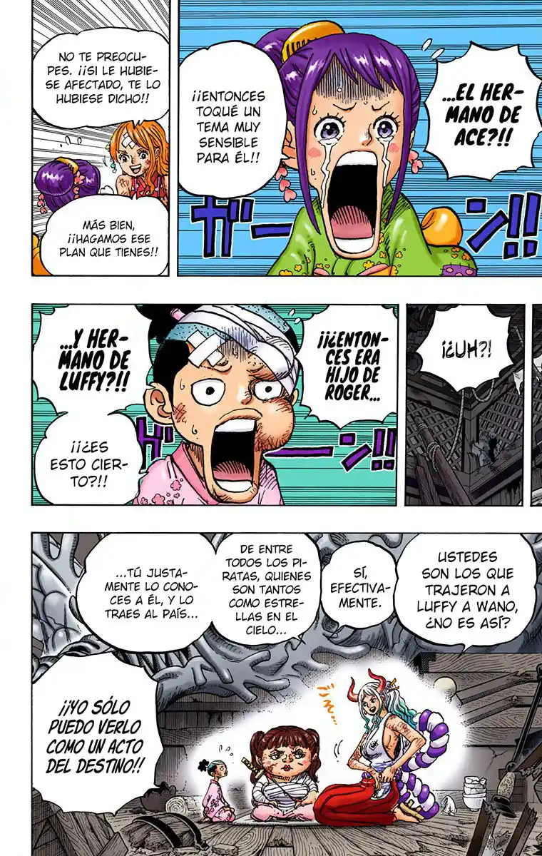 One Piece (full Color) - Capítulo 999 - Página 14 - LectorTMOo