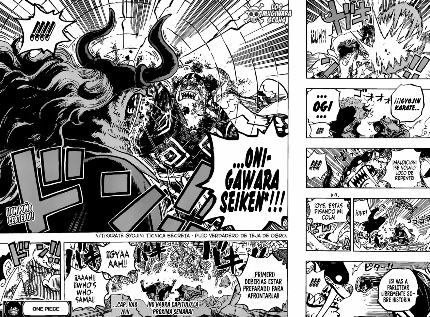 One Piece - Capítulo 1018.50 - Página 17 - LectorTMOo