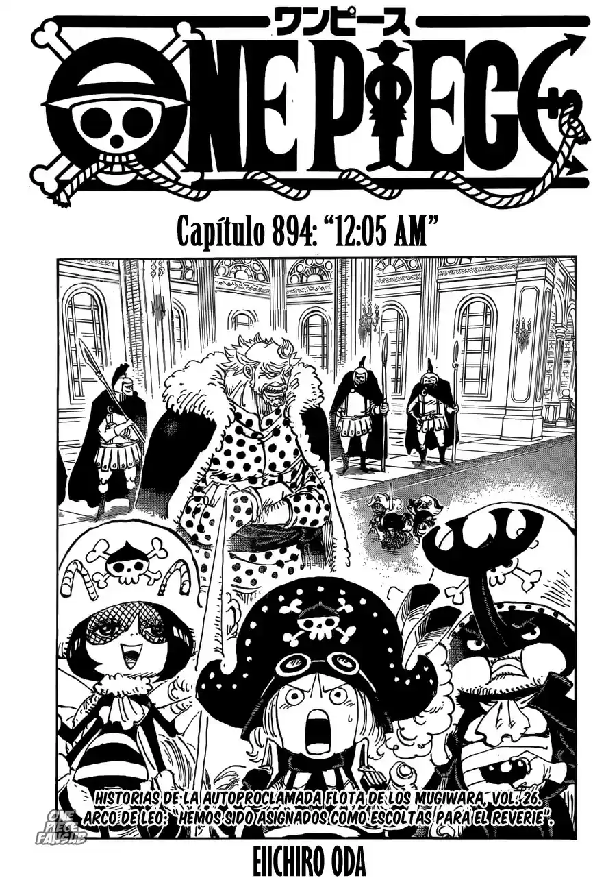 One Piece - Capítulo 894.0 - Página 1 - LectorTMOo