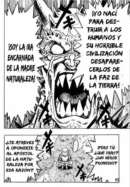 One Punch-Man - Capítulo  - Página 13 - LectorTMOo