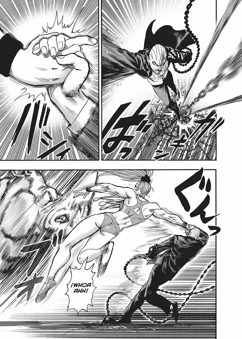One Punch-Man - Capítulo 135.50 - Página 29 - LectorTMOo