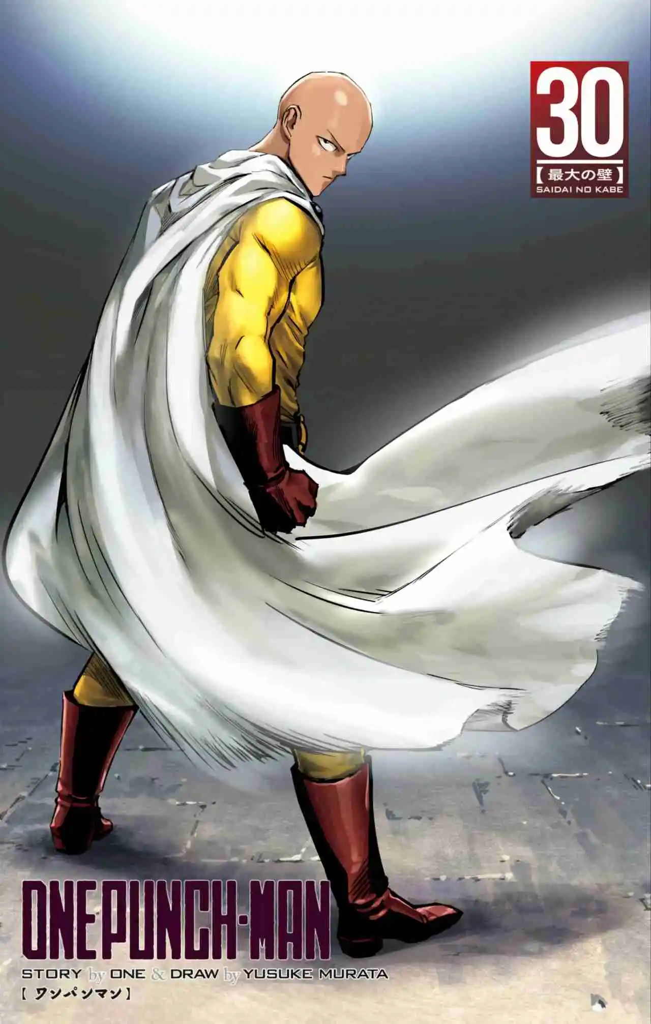One Punch-Man - Capítulo 156.50 - Página 12 - LectorTMOo