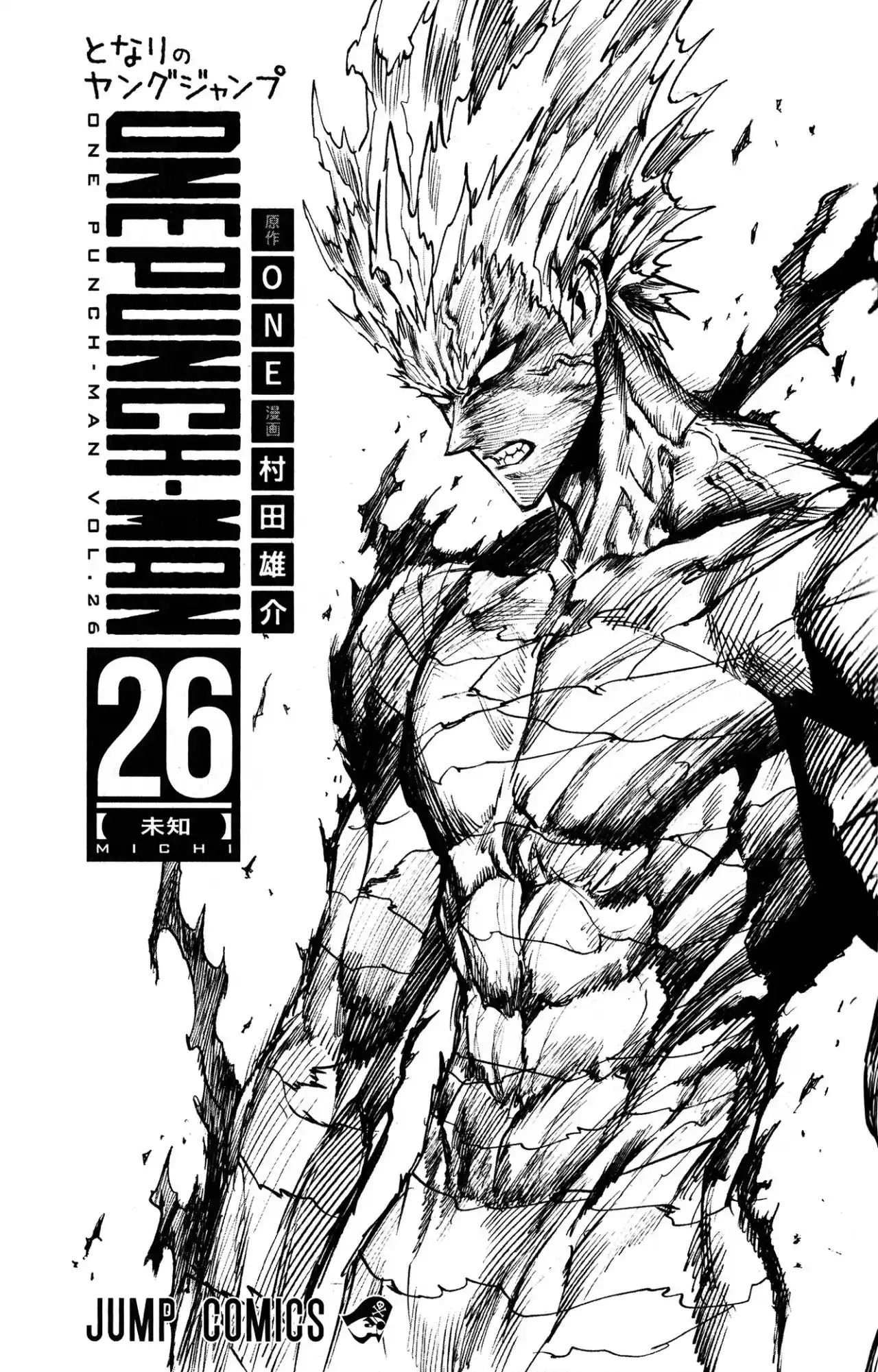 One Punch-Man - Capítulo 209.10 - Página 11 - LectorTMOo