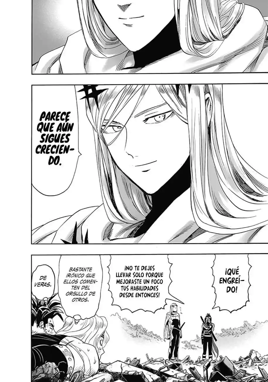 One Punch-Man - Capítulo 237.50 - Página 17 - LectorTMOo