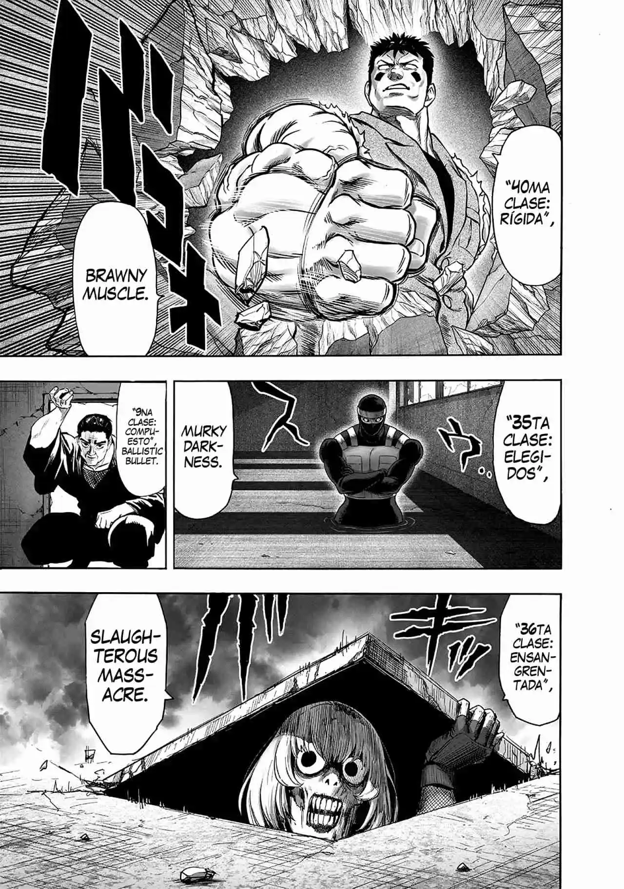 One Punch-Man - Capítulo 254.50 - Página 14 - LectorTMOo