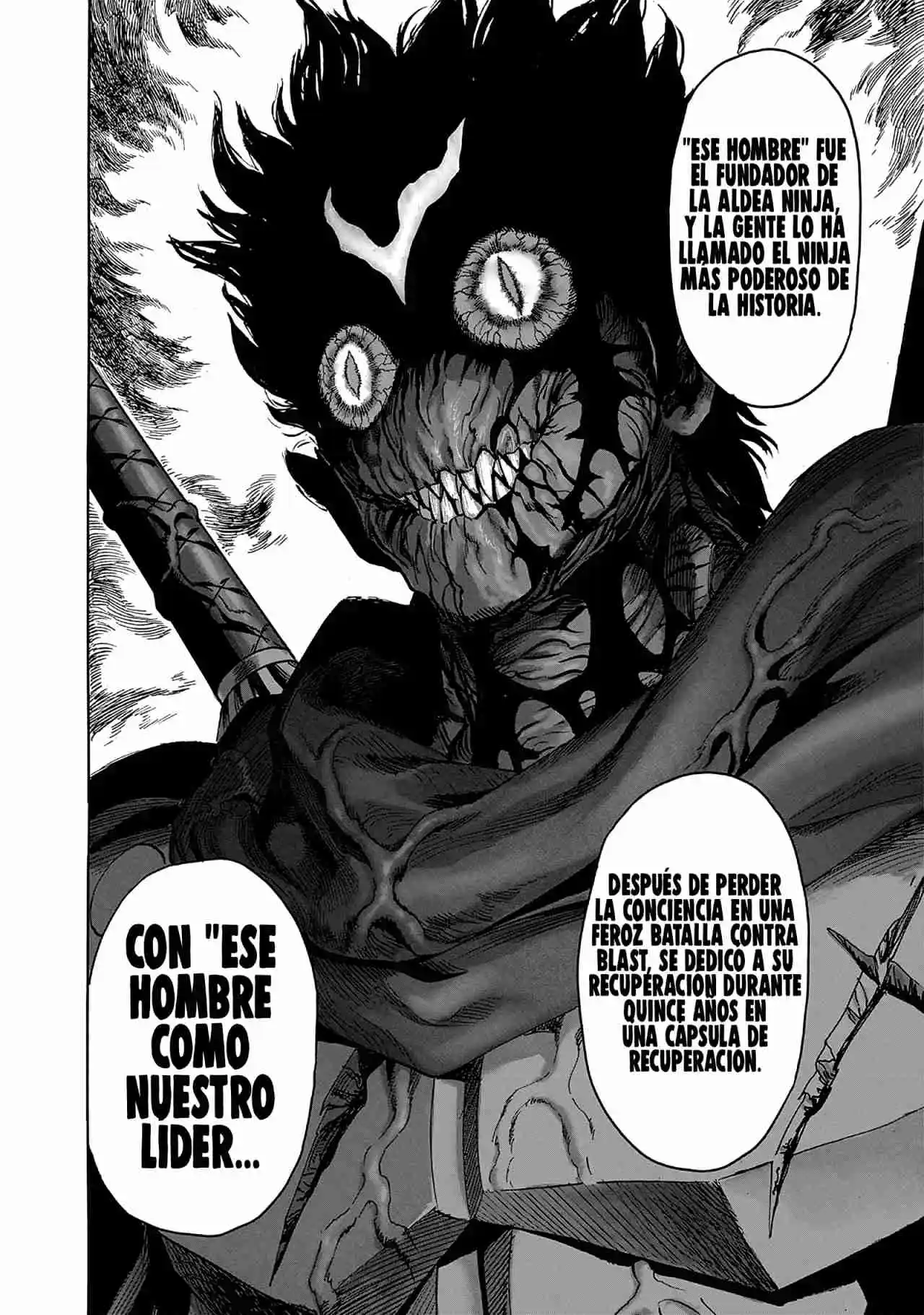One Punch-Man - Capítulo 254.50 - Página 18 - LectorTMOo