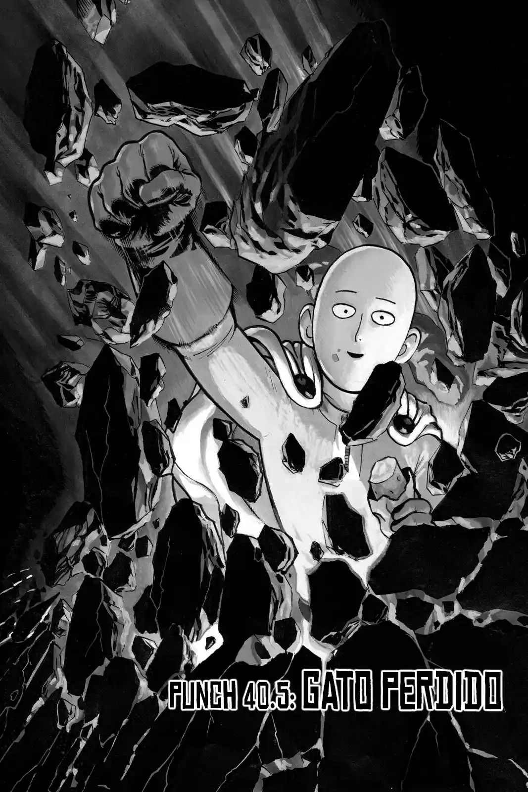 One Punch-Man - Capítulo 40.50 - Página 2 - LectorTMOo