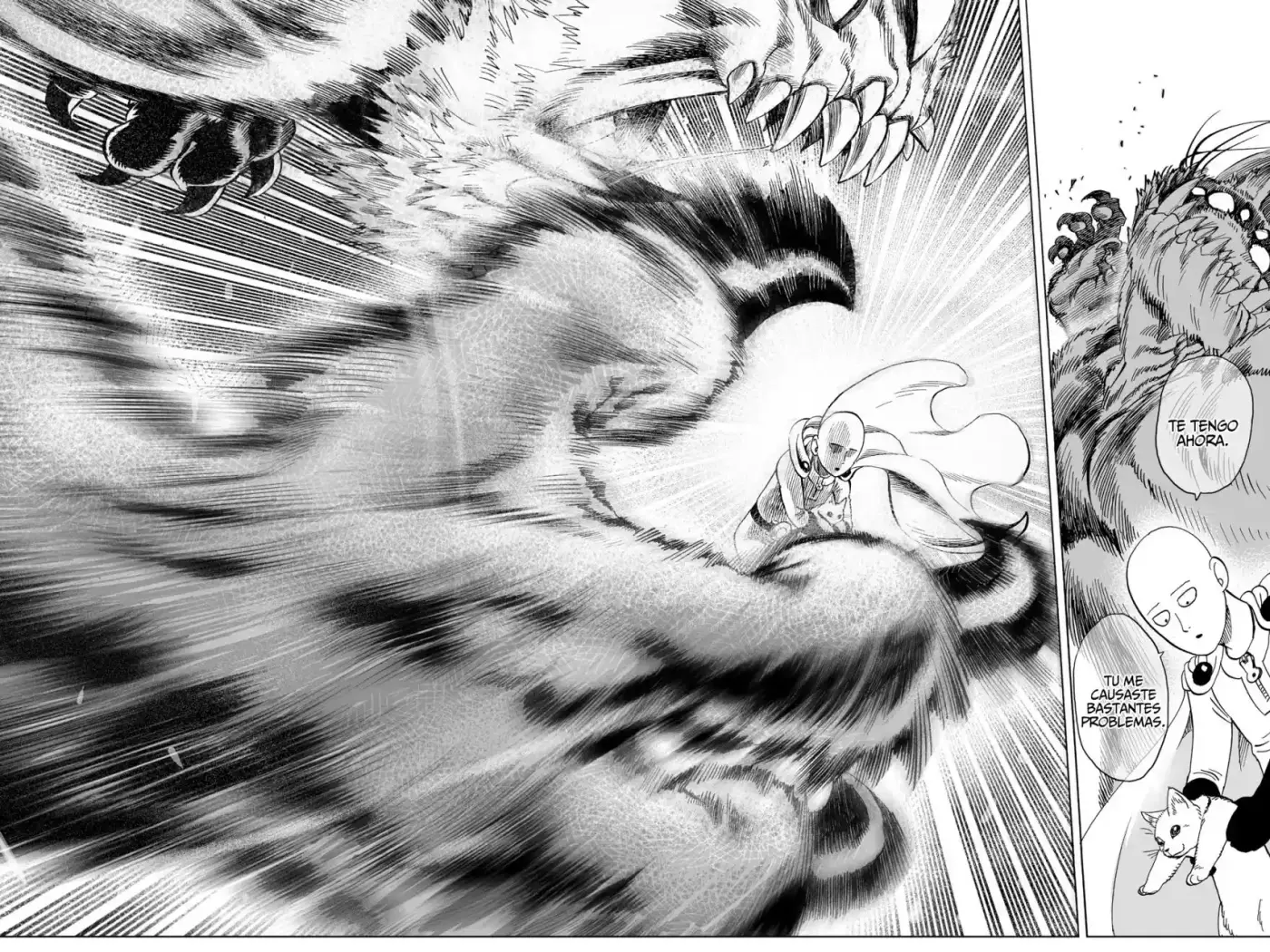 One Punch-Man - Capítulo 40.50 - Página 29 - LectorTMOo