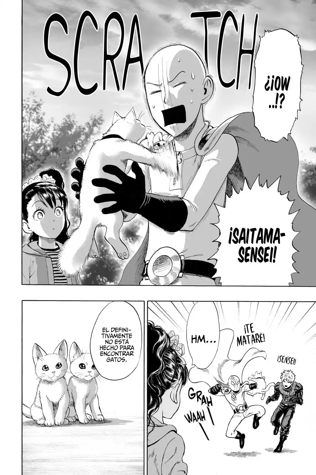 One Punch-Man - Capítulo 40.50 - Página 33 - LectorTMOo