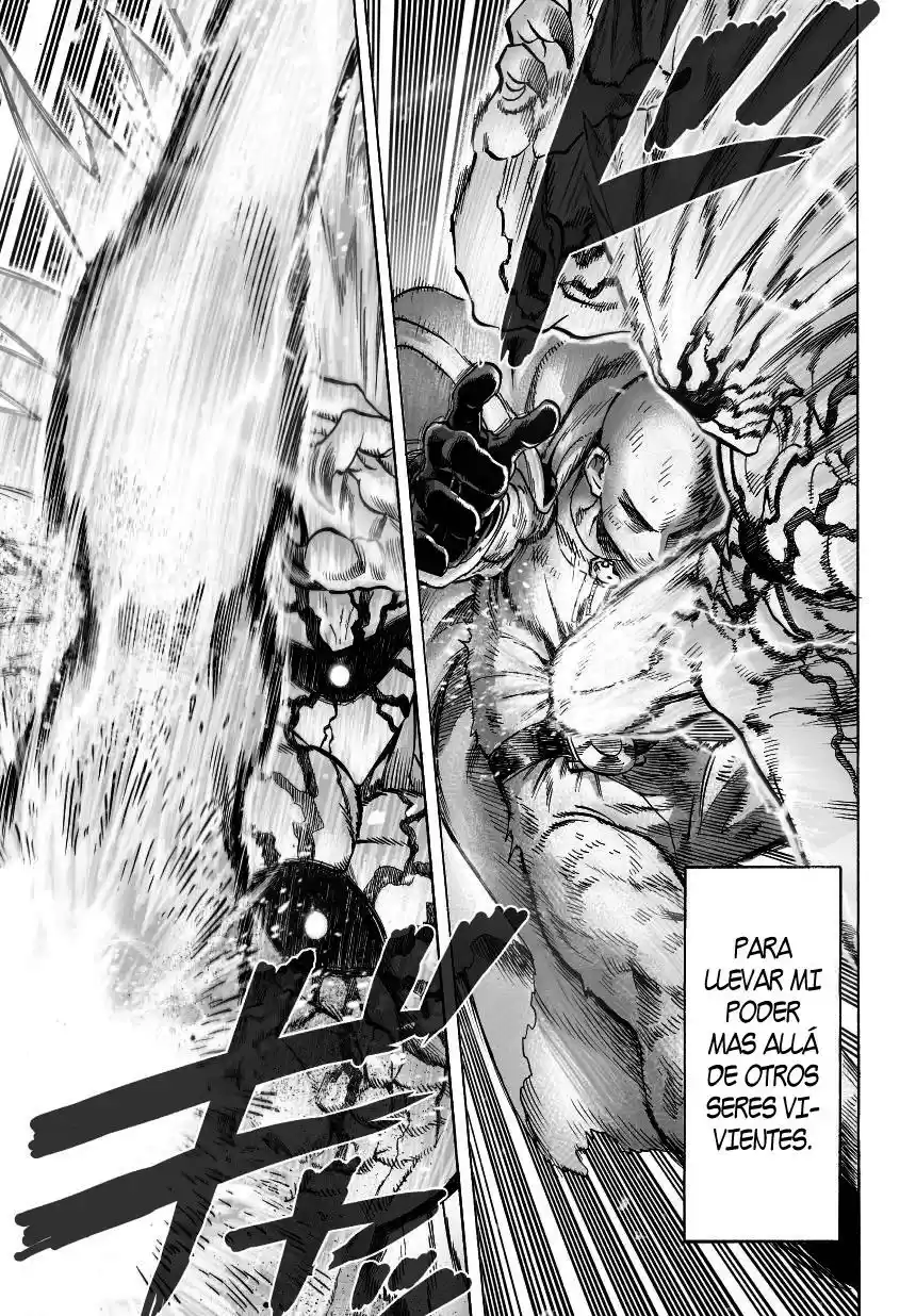 One Punch-Man - Capítulo 46.50 - Página 14 - LectorTMOo
