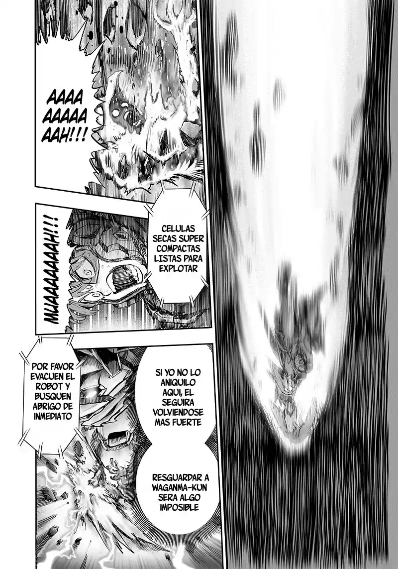 One Punch-Man - Capítulo 99.6 - Página 30 - LectorTMOo