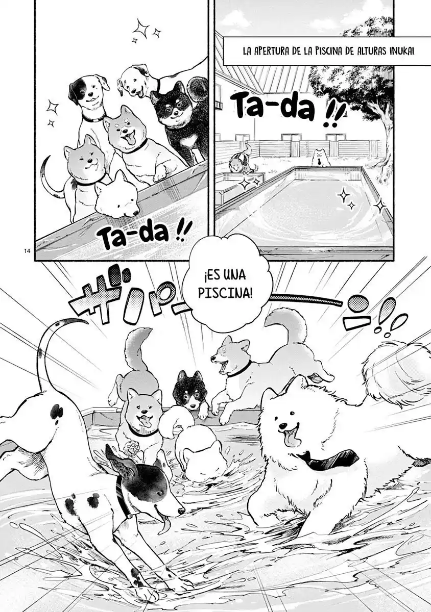 One Room Wanko - Capítulo 13 - Página 19 - LectorTMOo
