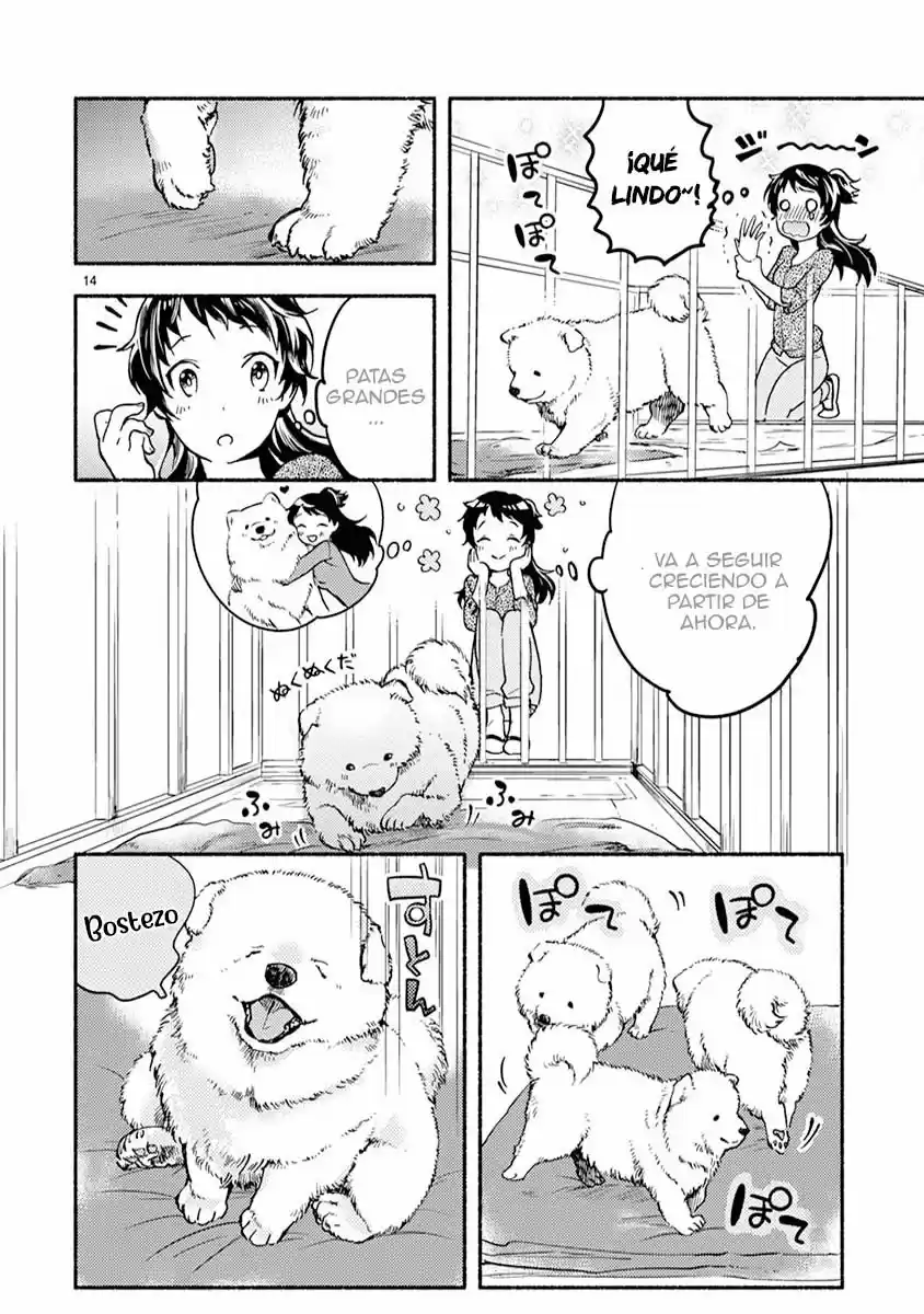 One Room Wanko - Capítulo 2 - Página 17 - LectorTMOo