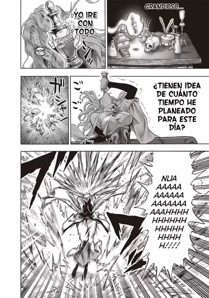 Onepunch-Man (ONE) - Capítulo 126 - Página 17 - LectorTMOo
