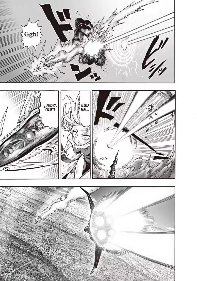Onepunch-Man (ONE) - Capítulo 135.5 - Página 14 - LectorTMOo