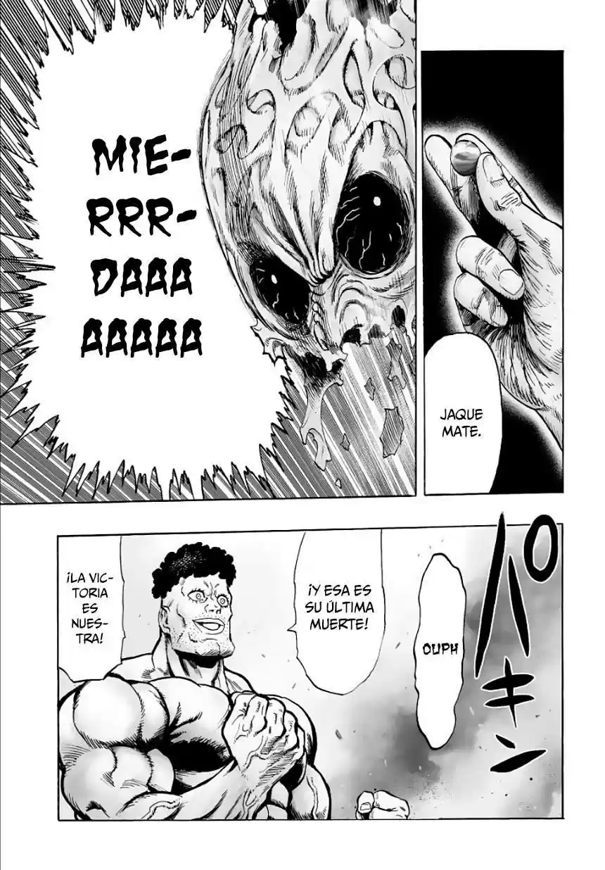 Onepunch-Man (ONE) - Capítulo 35 - Página 17 - LectorTMOo
