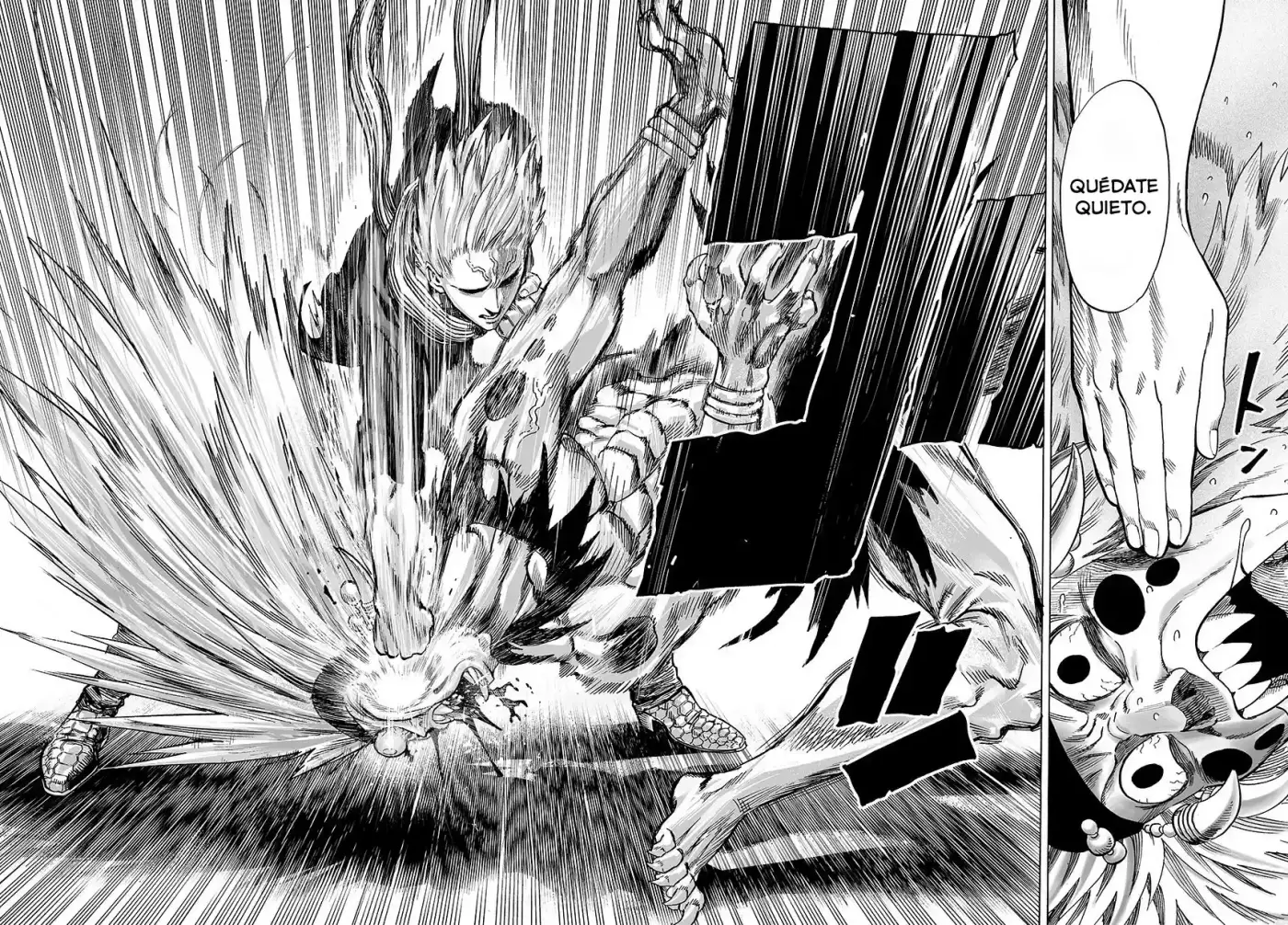 Onepunch-Man (ONE) - Capítulo 45 - Página 13 - LectorTMOo