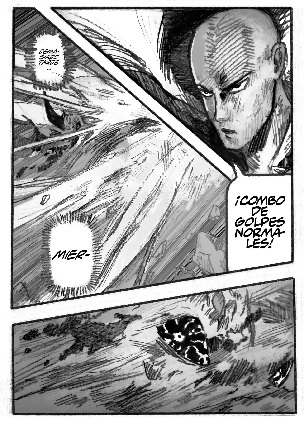 Onepunch-Man (ONE) - Capítulo 90.1 - Página 14 - LectorTMOo