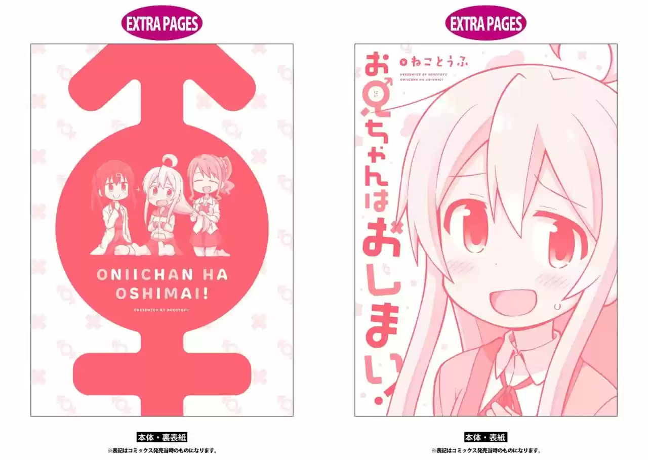 Onii-chan Wa Oshimai - Capítulo 10.90 - Página 19 - LectorTMOo